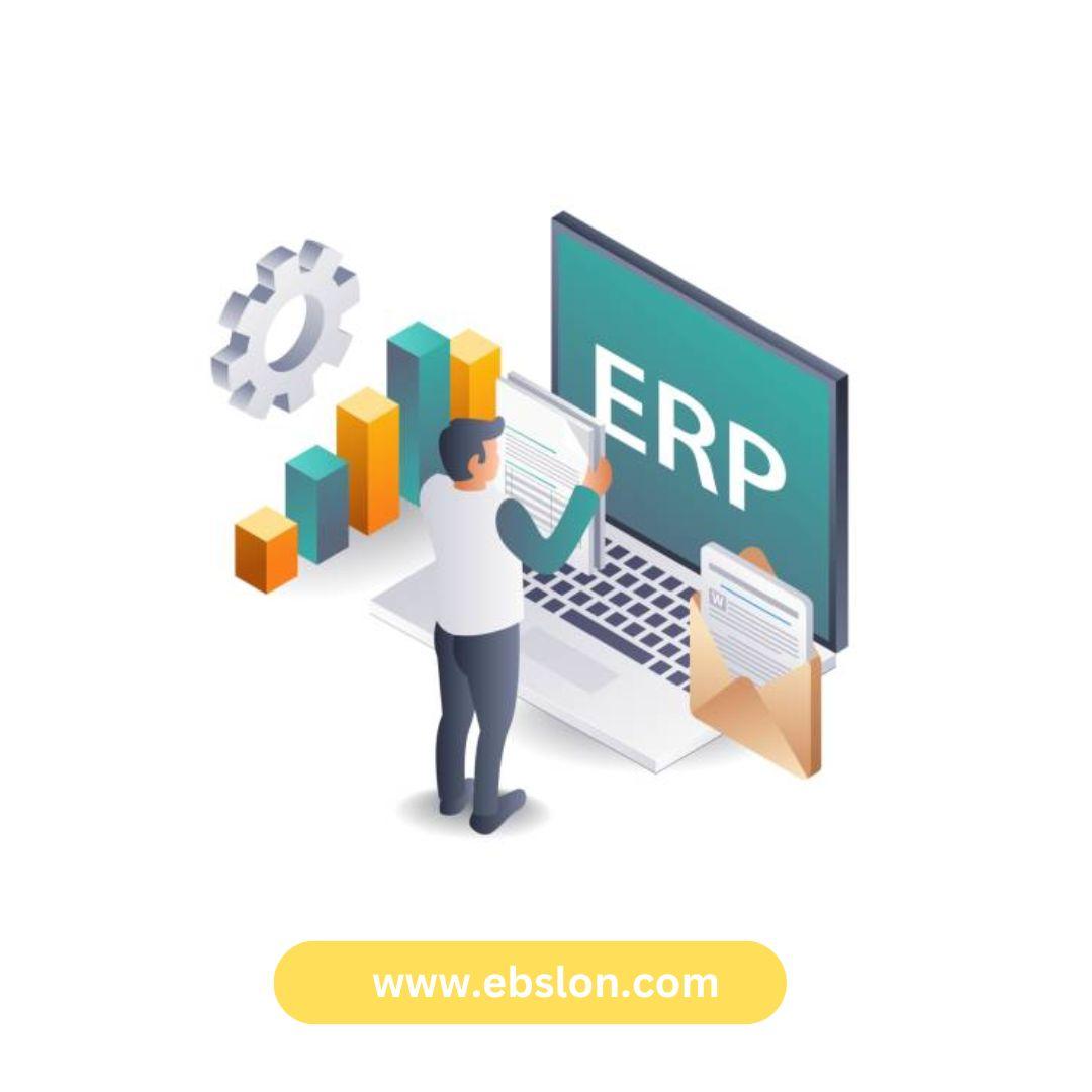 Custom ERP Software Development in India