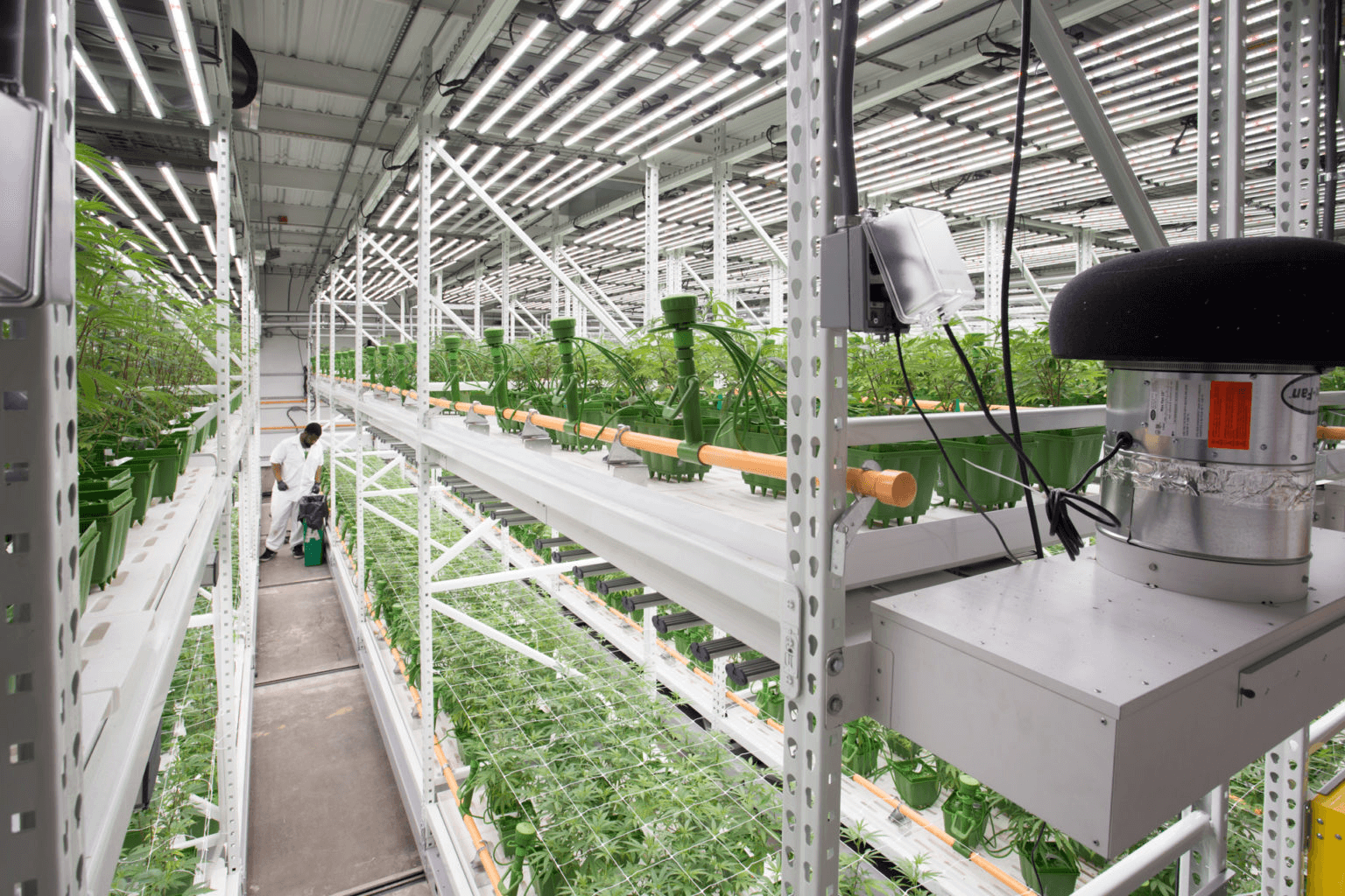 How Efficiently Do Vertical Planting Systems Utilize Indoor Space?