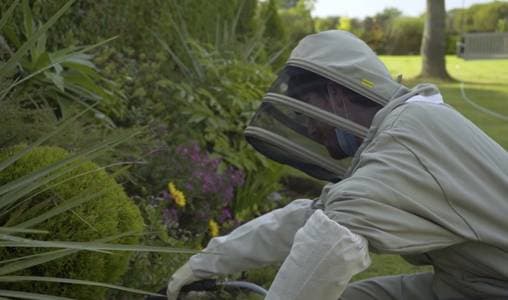 Trusted Mice Control Langdon Services for Safe Clean Homes