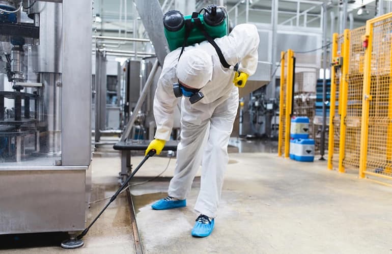 Trusted Pest Control Mississauga for Safe Homes Today